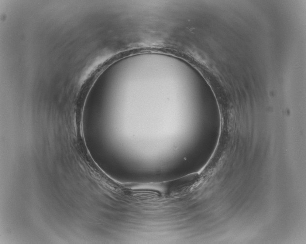 X0000070371214200606161308