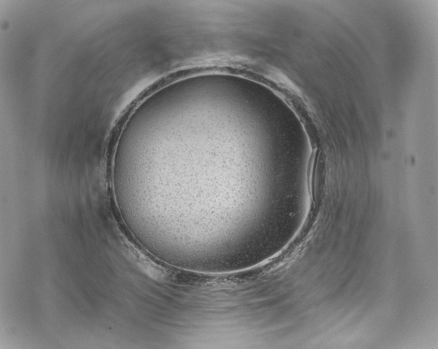 X0000070371216200606161308