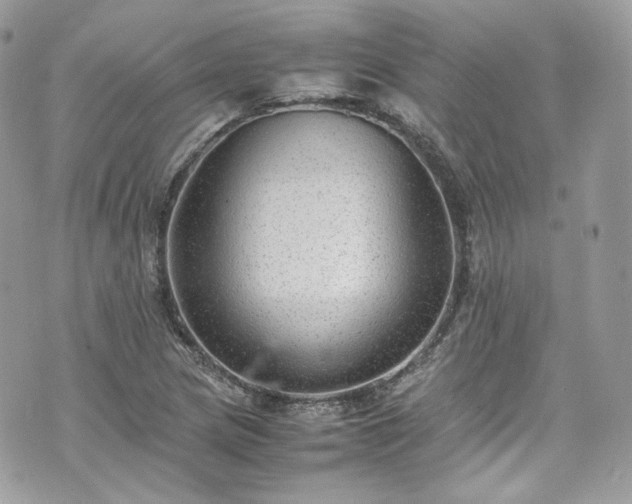 X0000070371217200606161308