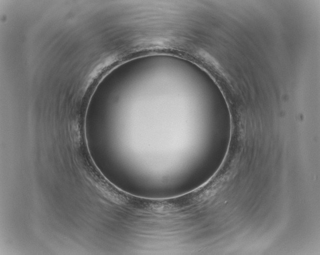 X0000070371218200606161308