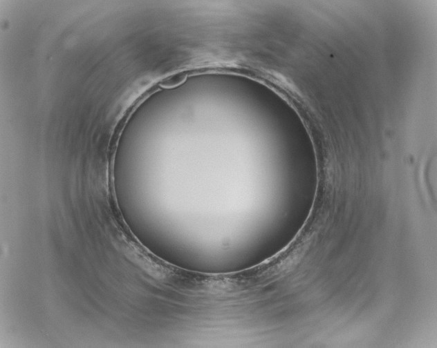 X0000070371220200606161308