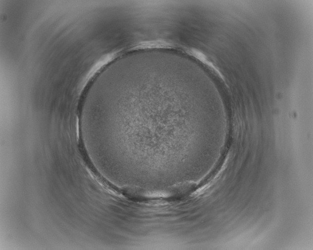 X0000070371221200606161308