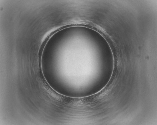 X0000070371222200606161308