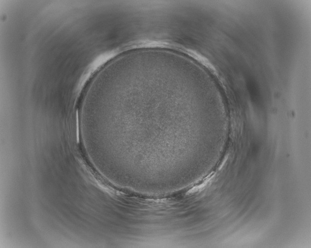 X0000070371223200606161308