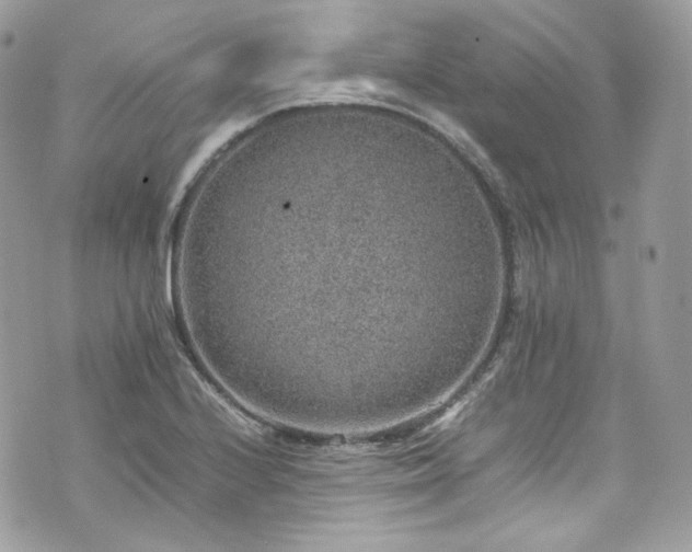 X0000070371224200606161308