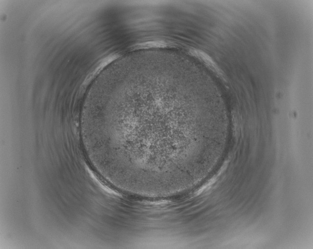 X0000070371225200606161308