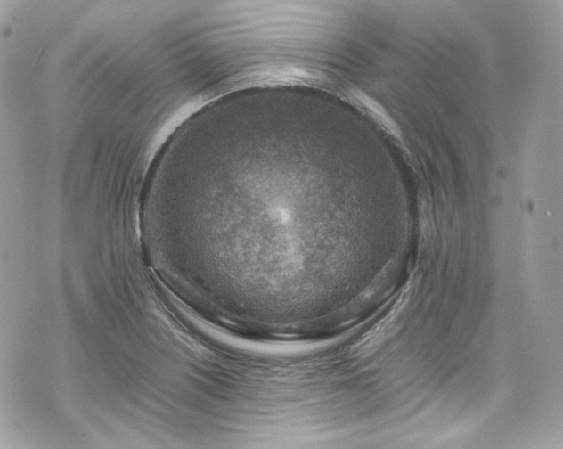 X0000070371226200606161308