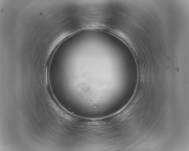 X0000070371227200606161308