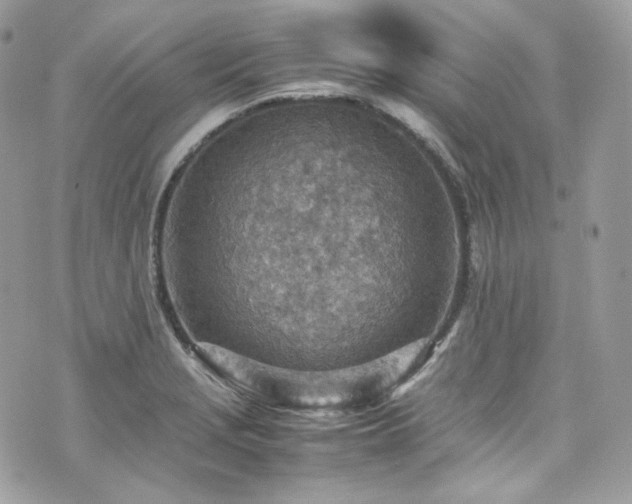 X0000070371229200606161308