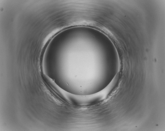 X0000070371230200606161308