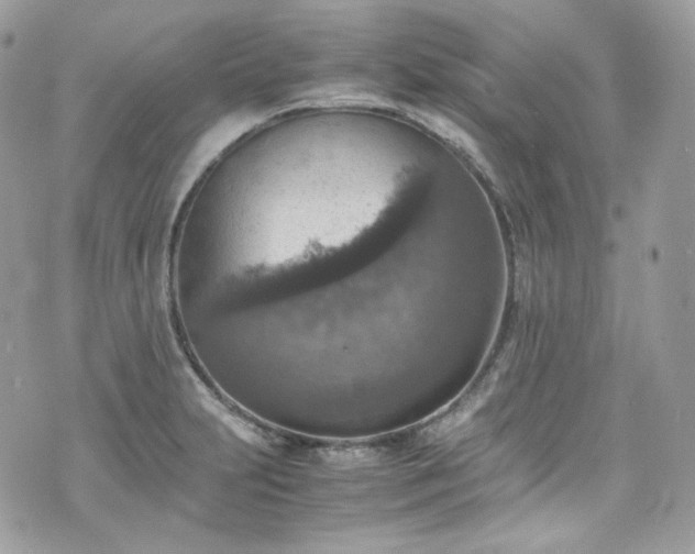 X0000070371231200606161309