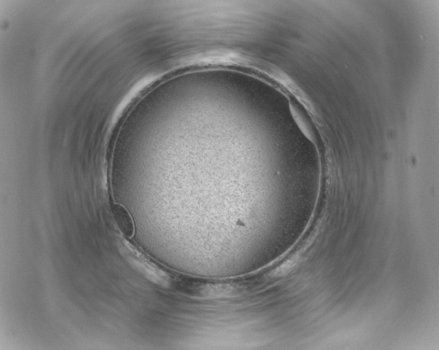 X0000070371232200606161309