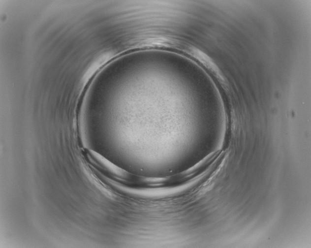 X0000070371234200606161309