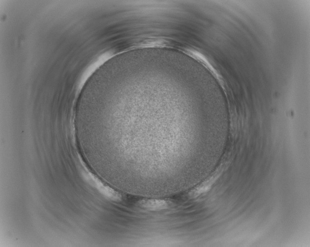 X0000070371235200606161309