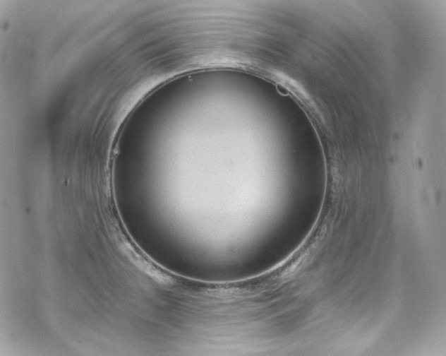 X0000070371236200606161309