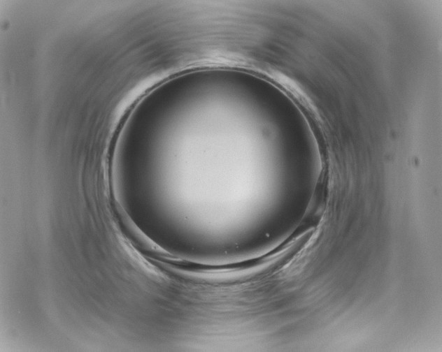 X0000070371238200606161309