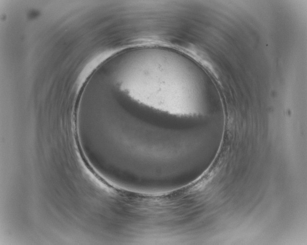 X0000070371239200606161309