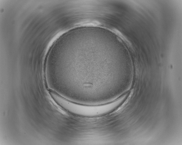 X0000070371240200606161309