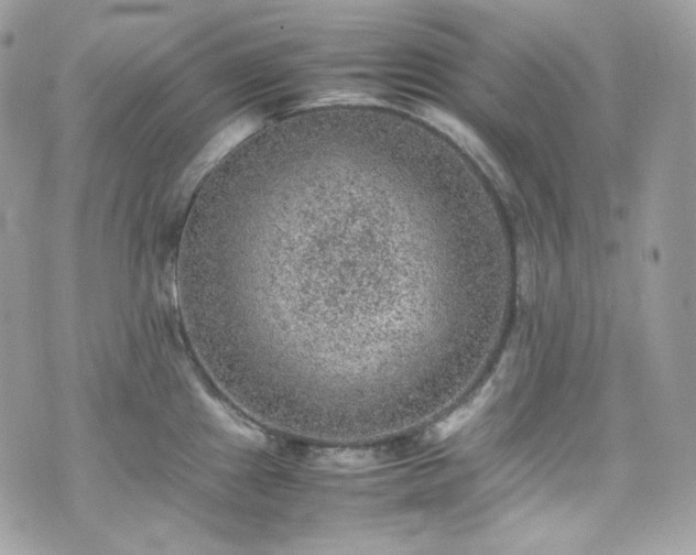 X0000070371241200606161309