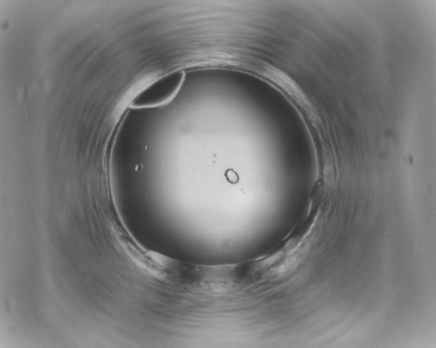 X0000070371242200606161309