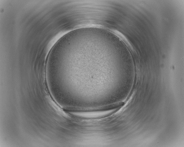 X0000070371244200606161309