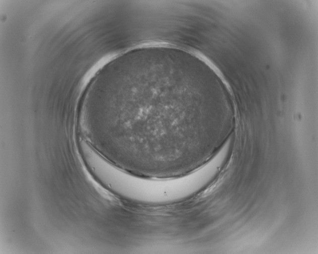 X0000070371245200606161309