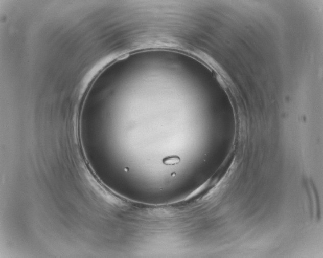 X0000070371246200606161309