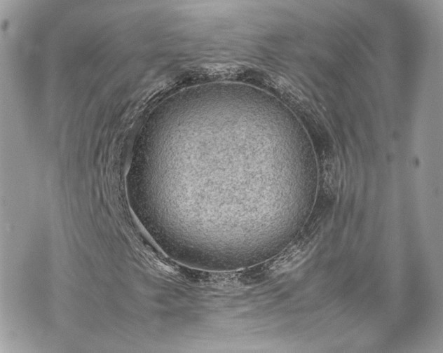 X0000070371249200606161308