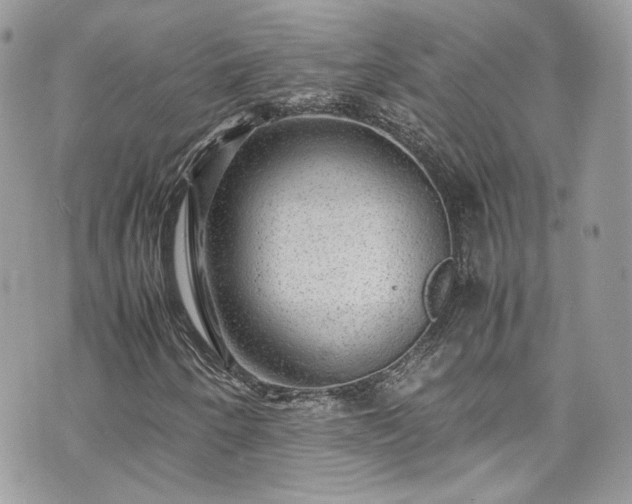 X0000070371250200606161308