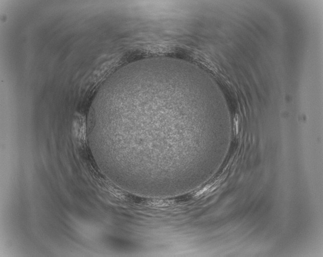 X0000070371251200606161308