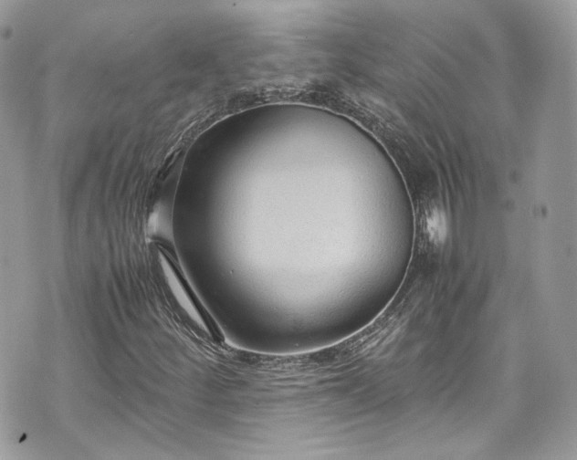 X0000070371252200606161308