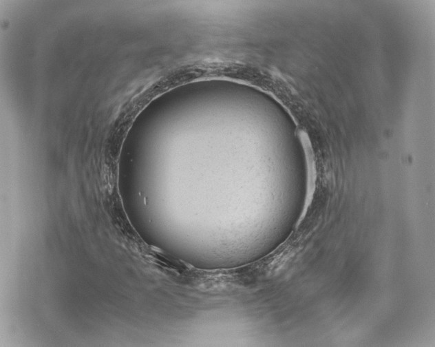 X0000070371253200606161308