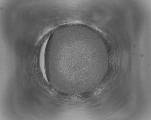 X0000070371255200606161308