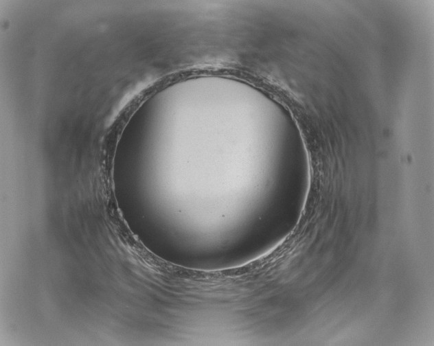 X0000070371256200606161308