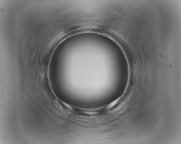 X0000070371257200606161308