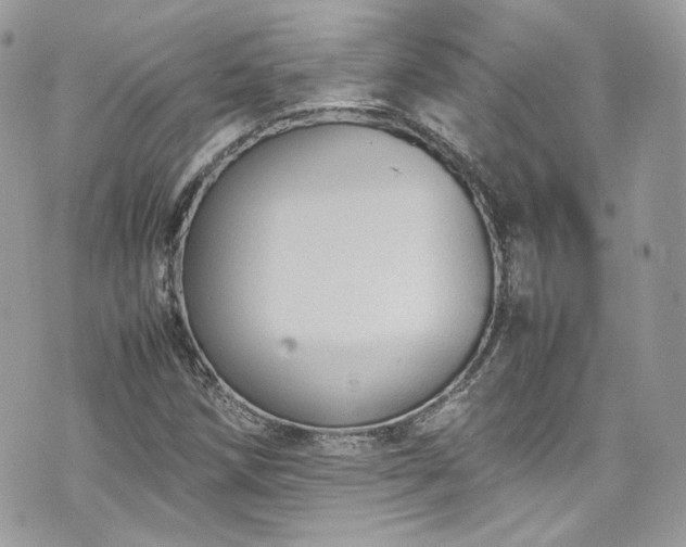 X0000070371258200606161308