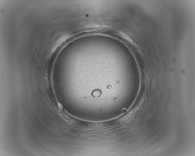 X0000070371259200606161308