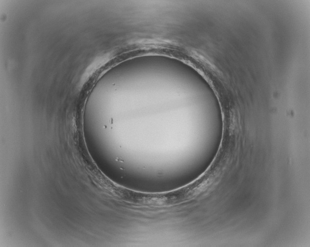 X0000070371261200606161308