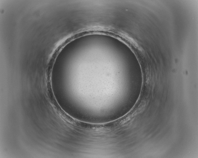 X0000070371264200606161308