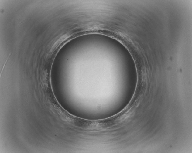 X0000070371265200606161308