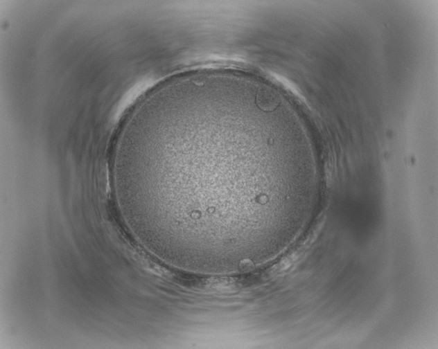 X0000070371267200606161308