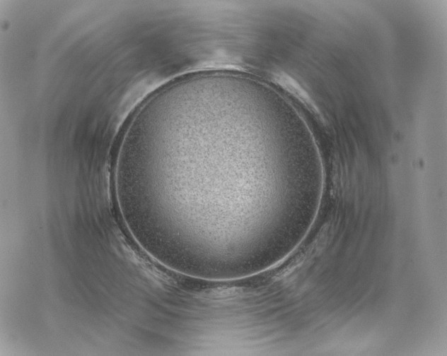 X0000070371268200606161308