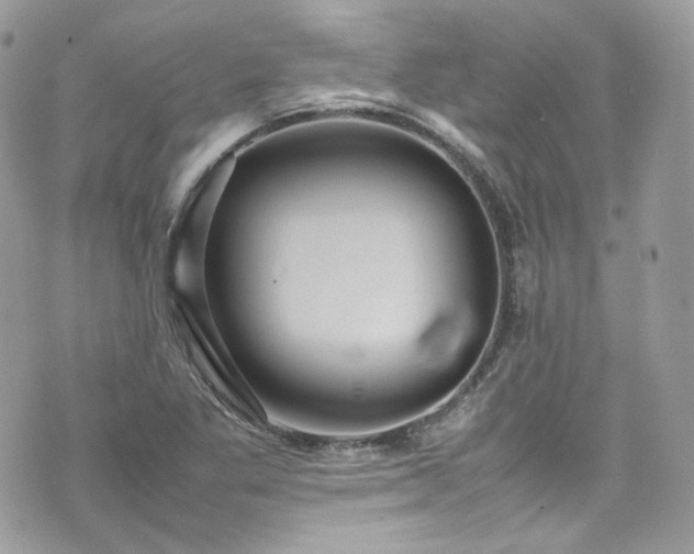 X0000070371269200606161308