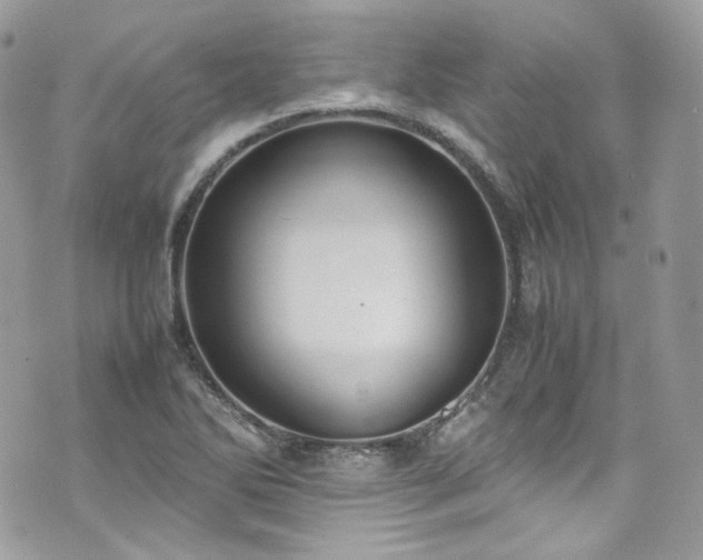 X0000070371270200606161308