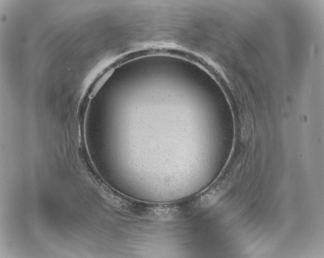 X0000070371271200606161308