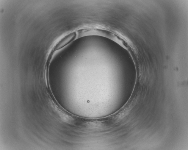 X0000070371272200606161308