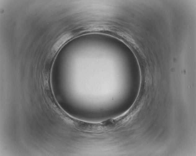 X0000070371273200606161308