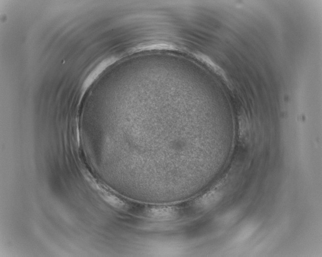 X0000070371274200606161308