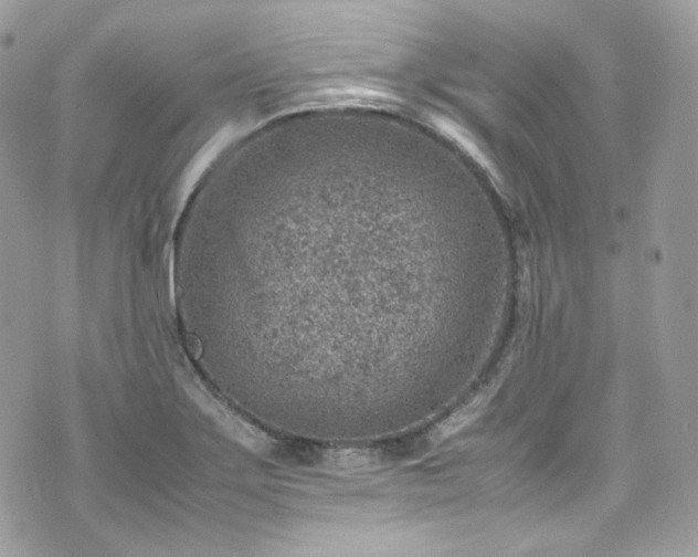 X0000070371275200606161308