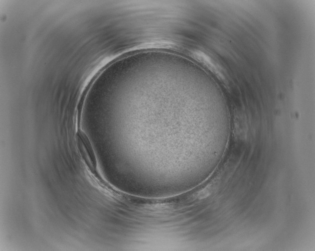 X0000070371276200606161308